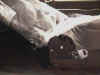 asi007.jpg (53048 �o�C�g)