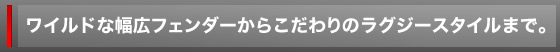 ���C���h�ȕ��L�t�F���_�[���炱�����̃��O�W�[�X�^�C���܂ŁB