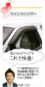 �E�C���h�o�C�U�[�@�J�̓��̃h���C�u������ŉ��K�I