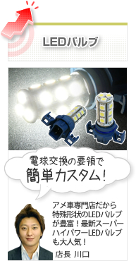 LED�o���u�@�d�������̗v�̂ŊȒP�J�X�^���I