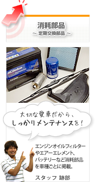 ���Օ��i�@�����e�i���X�p�i